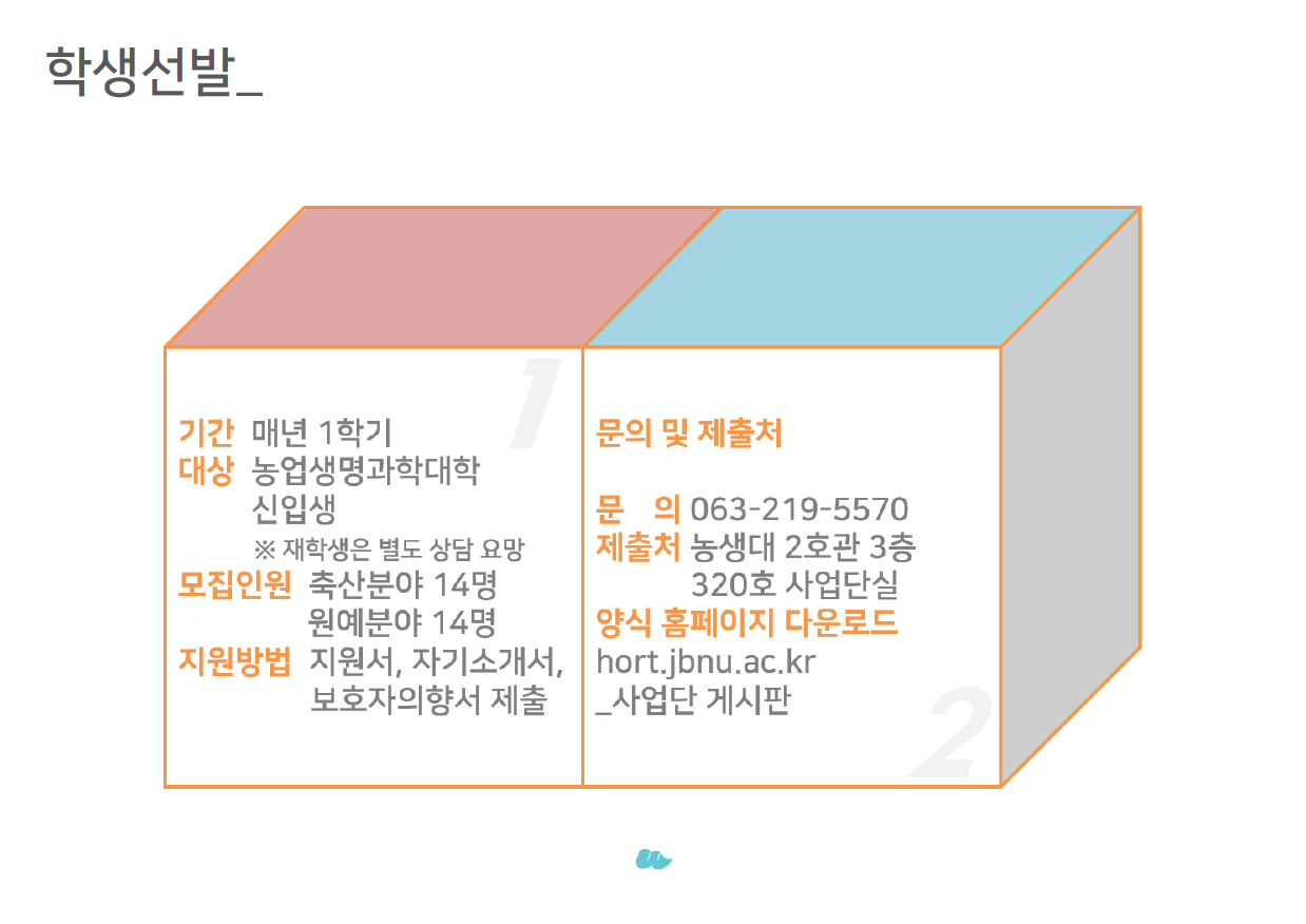 선발